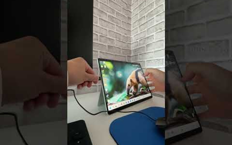 Video guide: How to Use the Workstation